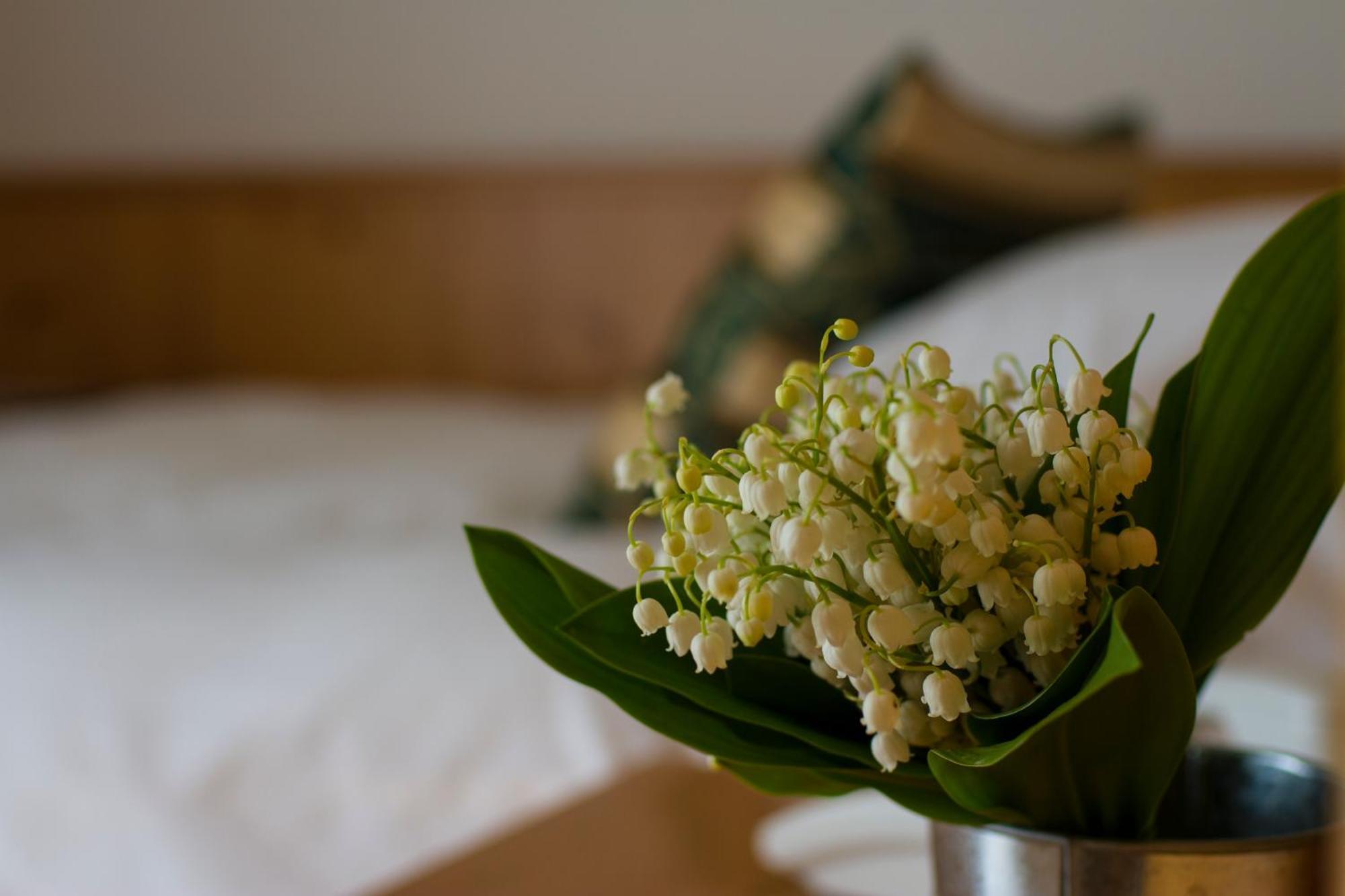 Hotel Chalet All'Imperatore Madonna di Campiglio Bilik gambar